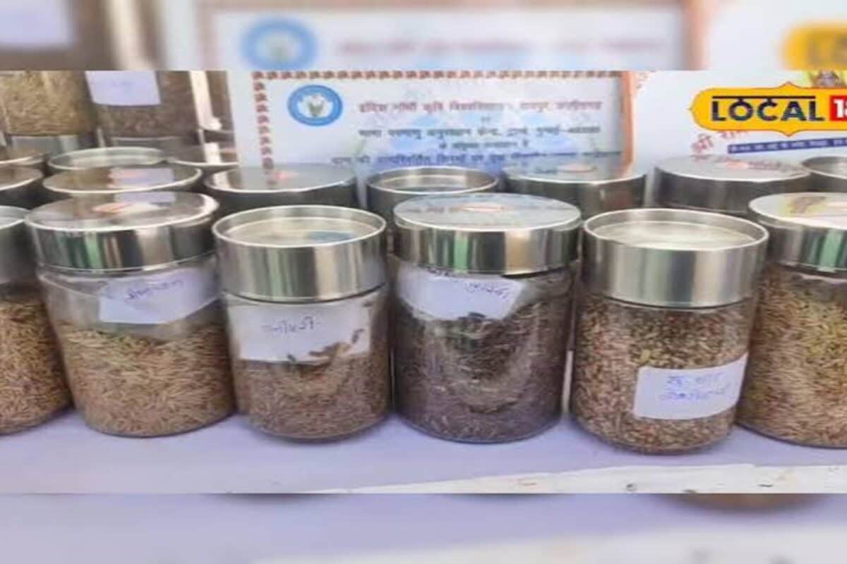 बस्तर का यह किसान ने बचाई धान की 350 देशी किस्में जैविक खेती से कमा रहे लाखों