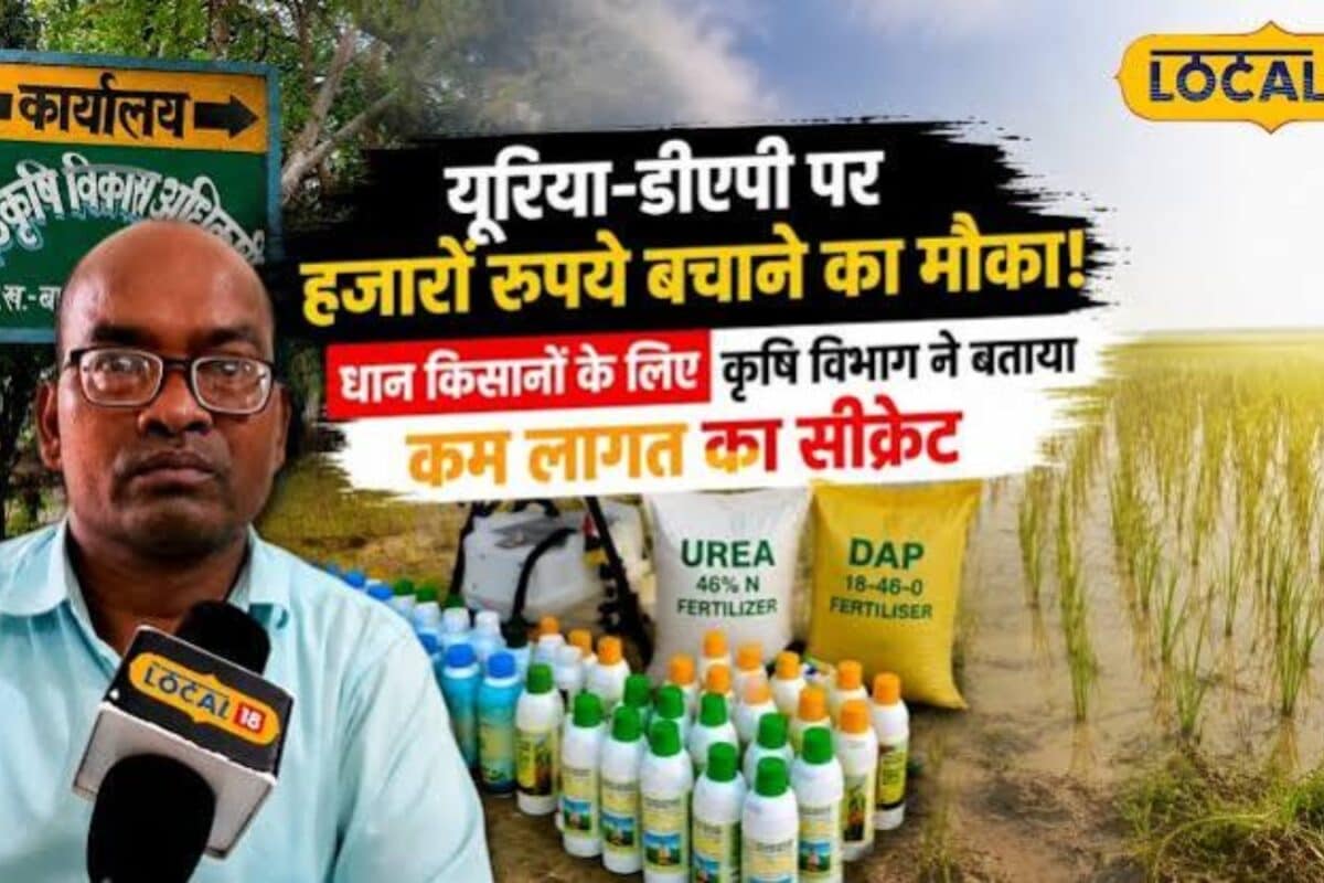 यूरिया-DAP पर हजारों रुपये बचाने का मौका! कृषि विभाग ने बताया कम लागत का सीक्रेट