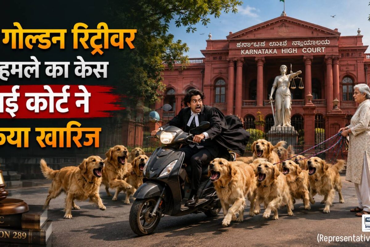 कोर्ट में वकील पर 10 कुत्तों के हमले की चल रही थी सुनवाई जज ने कैलेंडर देखते ही खारिज किया केस जानें क्यों