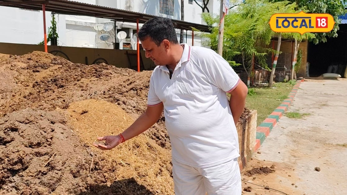 Tips: 3 गुना बढ़ेगी फसलों की पैदावार गाय के गोबर से बनाएं यह देसी खाद भूल जाएंगे यूरिया का इस्तेमाल