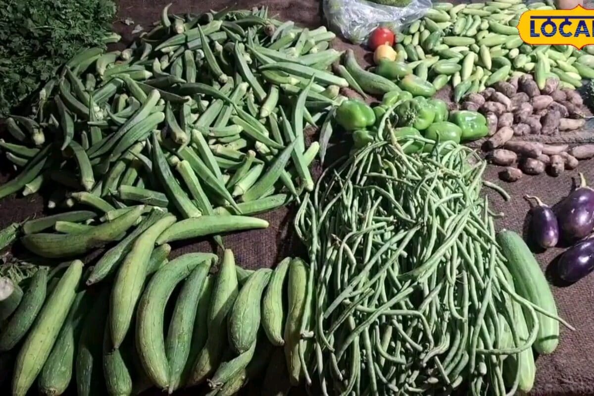 मानसून में पालक-पत्तागोभी खाना पड़ सकता है भारी जानें किन सब्जियों से करें परहेज