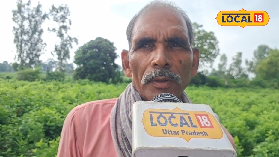 30 साल से रेशम कीट की खेती कर रहे किसान राम मूर्ति घर से खरीद कर ले जाते हैं व्यापारी बदली किस्मत लाखों में हो रही कमाई