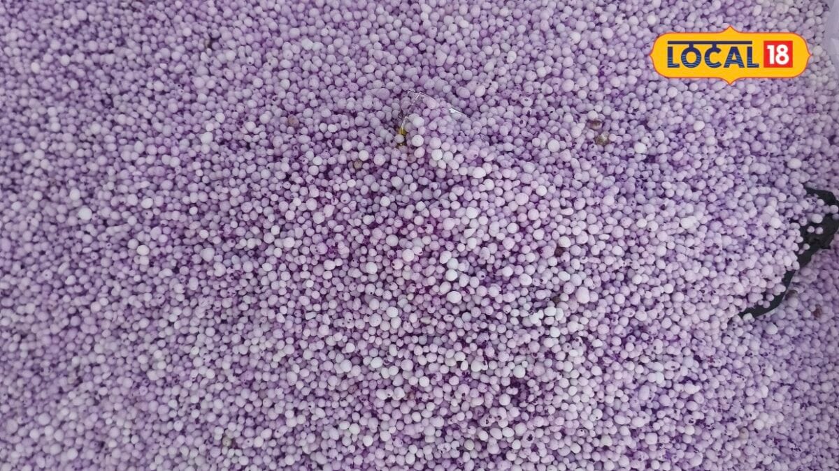 Beyond Urea: Essential Nutrients Required for High Paddy Yields