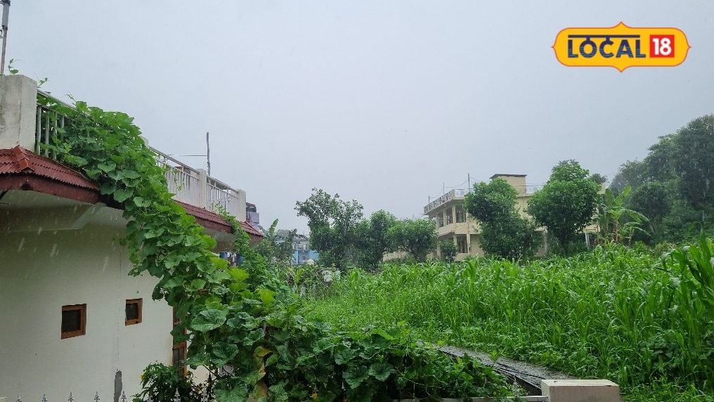 मानसून की बारिश में भीगने के बाद तुरंत बदलें गीले कपड़े गंदे पानी से बचें नहीं तो पड़ सकते हैं बीमार एक्सपर्ट ने बताया टिप्स