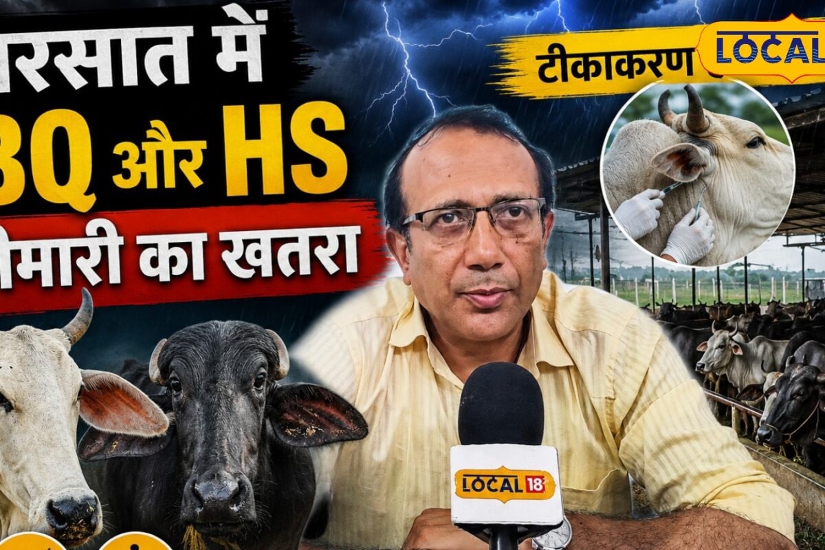 बरसात के मौसम में खें खास ध्यान ये टीका जरूर लगाये पशु चिकित्सक से जानें जरूरी सलाह