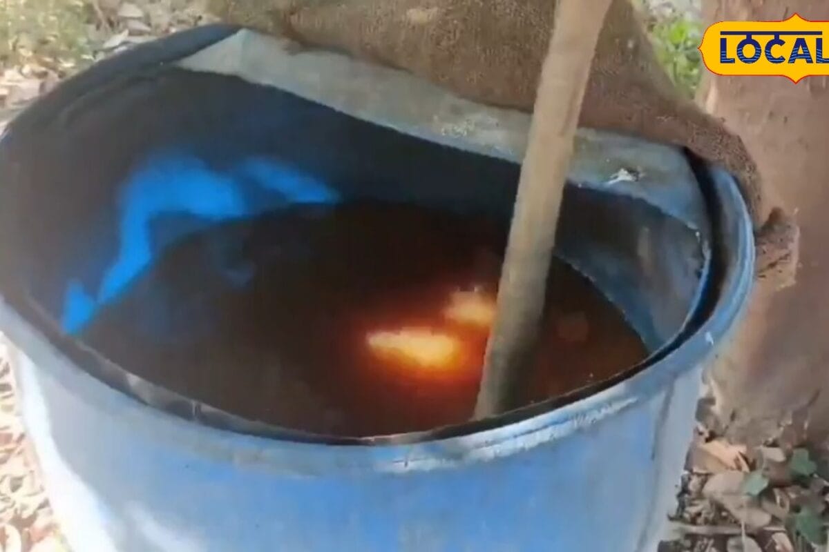 गोमूत्र-नीम का देसी स्प्रे करेगा कीटों का सफाया! बिना महंगी दवा के फसल रहेगी सुरक्षित