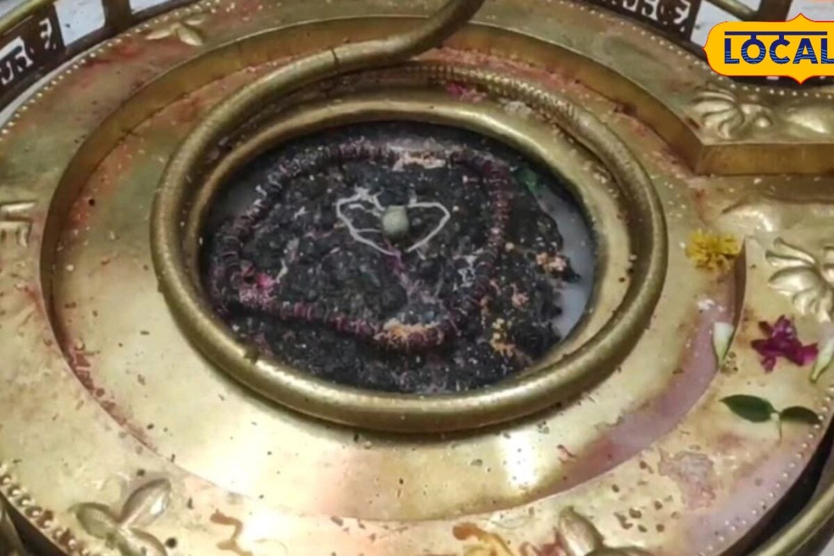 MP का चमत्कारी महादेव मंदिर 500 साल पुराना शिवधाम जहां हर साल बढ़ता है शिवलिंग