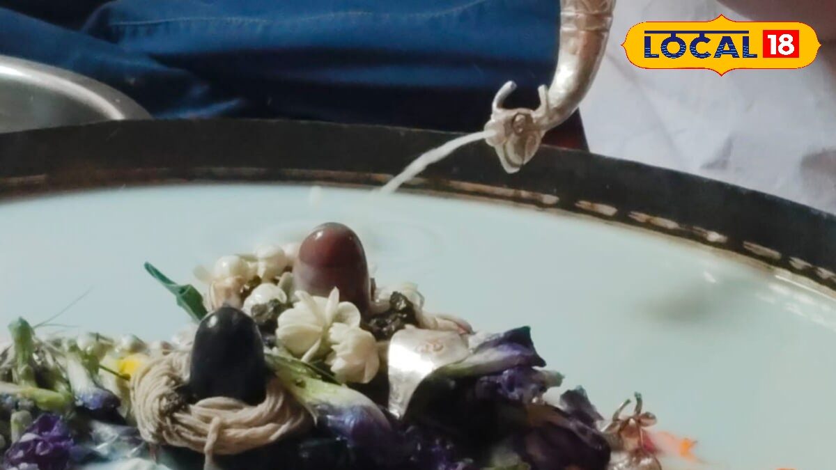 दूध, दही, शहद और गन्ने का रस… सावन में भोलेनाथ का करना है रुद्राभिषेक, तो यहां जानिए किस चीज का क्या है फल दूध, दही, शहद और गन्ने का रस… सावन में भोलेनाथ का करना है रुद्राभिषेक, तो यहां जानिए किस चीज का क्या है फल