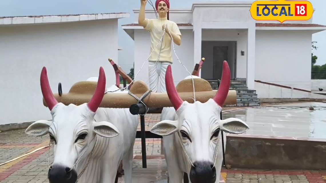 चित्रकूट का रानीपुर टाइगर रिजर्व के पास प्रदेश का पहला ग्लास स्काईवॉक ब्रिज तुलसी जलप्रपात ट्राइबल हट्स परियोजना तैयार जानें