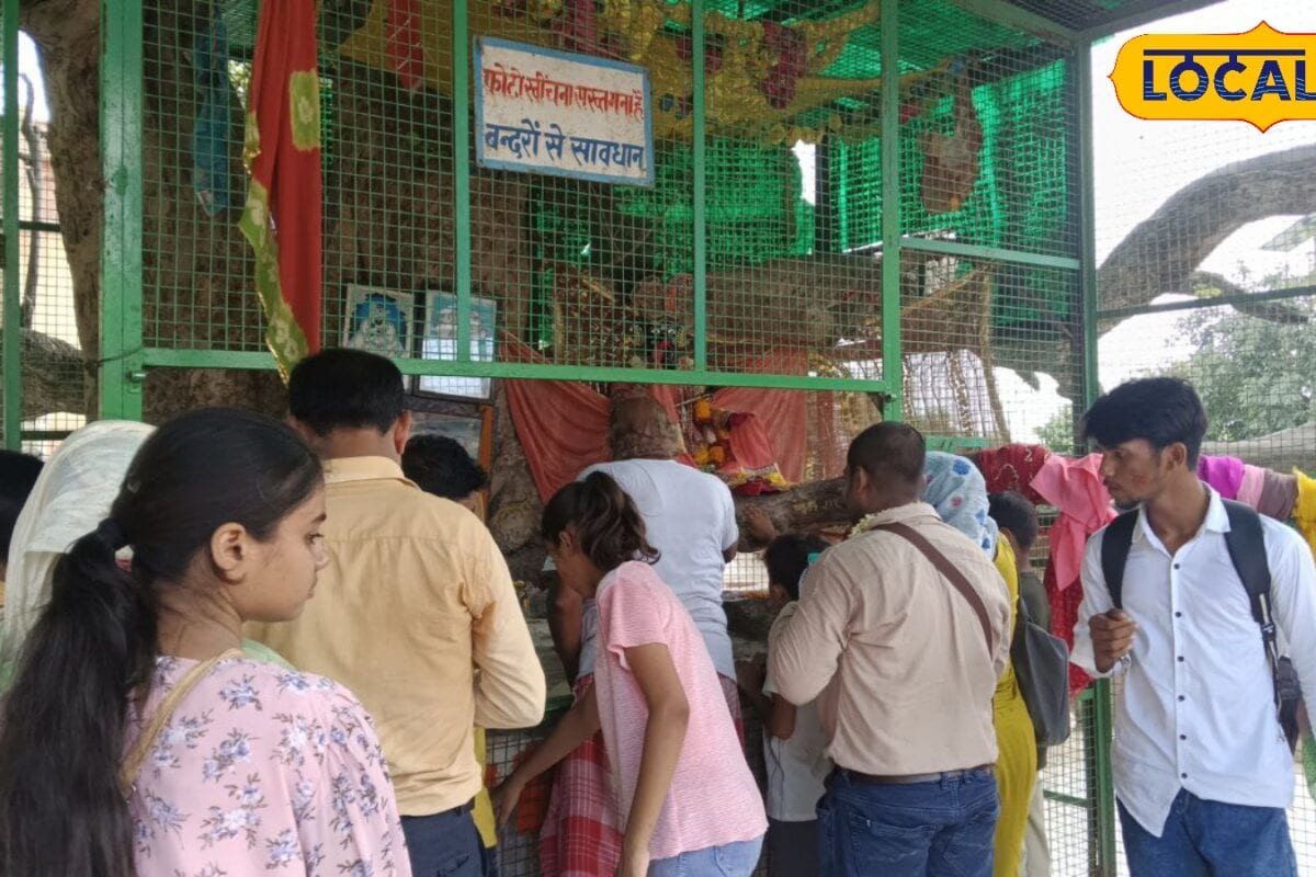 वृंदावन में यमुना किनारे कदम्ब का वृक्ष कृष्ण से 100 साल बड़ा टहनियां सूखी पर पत्ते हैं हरे कृष्ण ने इसी वृक्ष पर की थी लीला