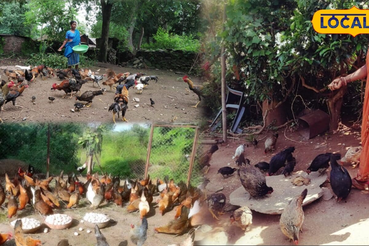 कमाल की योजना! घर के पीछे खाली पड़ी जमीन से करें कमाई, खर्च करने होंगे सिर्फ 556 रुपये