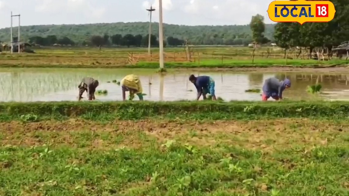 क्या है सरकार की नाबार्ड योजना? चित्रकूट के 33667 किसानों की बदल दी जिंदगी, बन जाएंगे खुद के मालिक