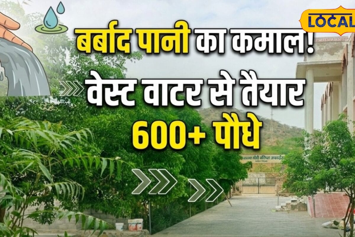 रेगिस्तान में हरियाली का कमाल वेस्ट वाटर से लहलहाए 600 पौधे स्कूल बना मिसाल