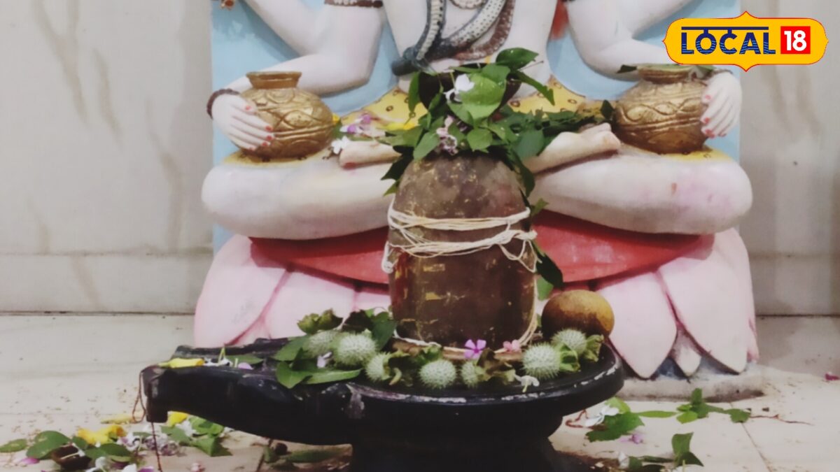 Sawan Somwar 2026: सावन में इन 5 चीजों से करें महादेव का अभिषेक, धन-धान्य की होगी वर्षा, रोग-दोष होंगे दूर Sawan Somwar 2026: सावन में इन 5 चीजों से करें महादेव का अभिषेक, धन-धान्य की होगी वर्षा, रोग-दोष होंगे दूर