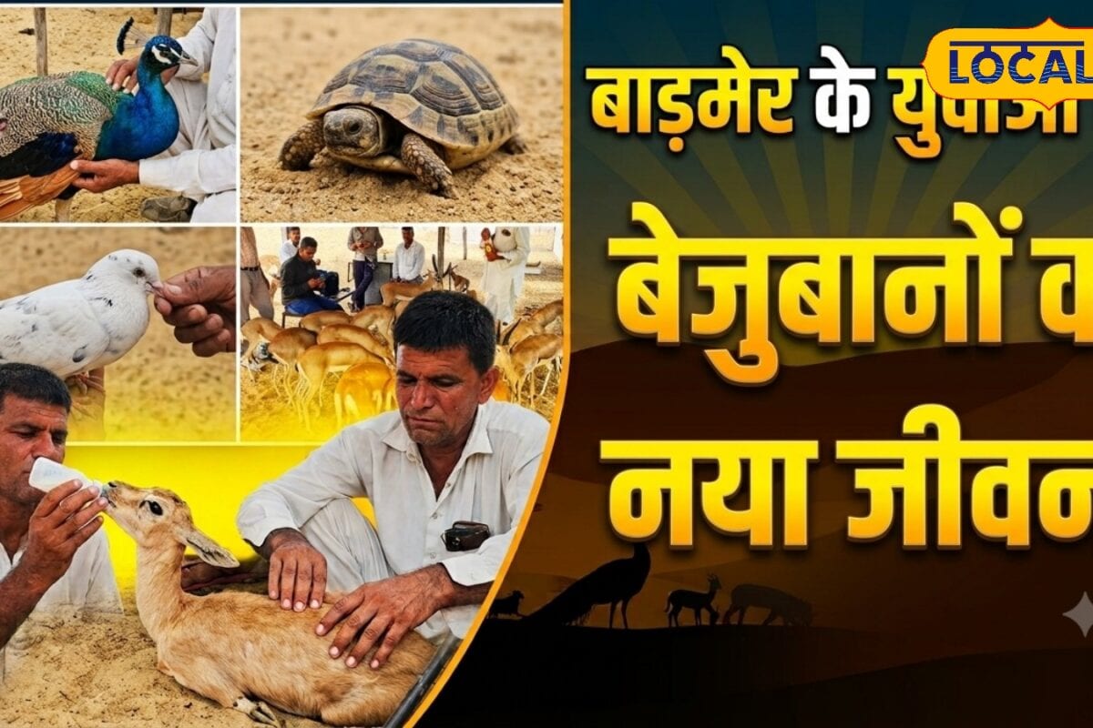 Wildlife News: मौत के मुंह से निकले 1000 से ज्यादा वन्यजीव 125 हिरणों का नया आशियाना बना यह रेस्क्यू सेंटर