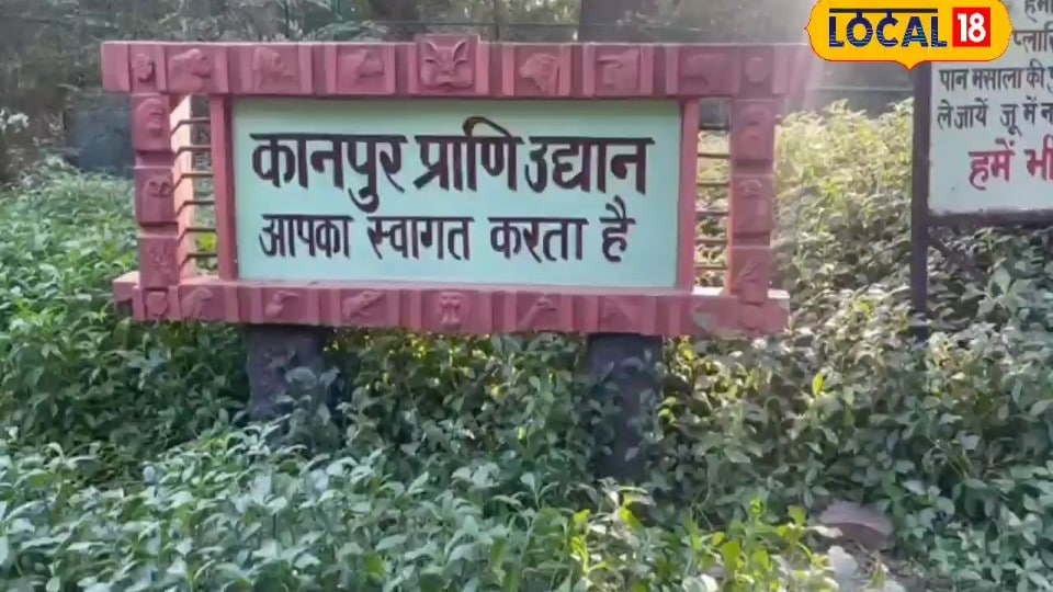 अब कानपुर चिड़ियाघर में चूहों का आतंक होगा खत्म जानिए क्या है मास्टर प्लान जिनसे पक्षियों के अंडे रहेंगे सेफ