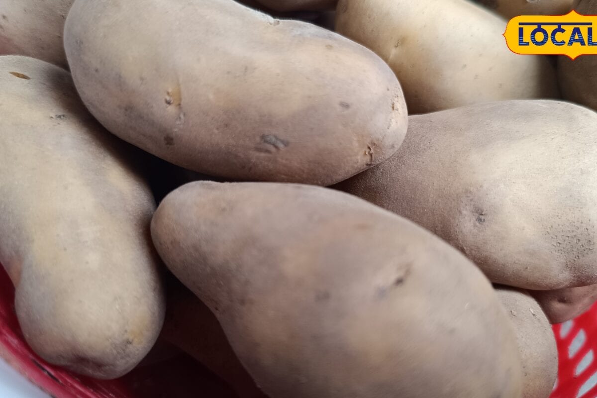 मानसून में आलू जल्दी सड़ जाते हैं बस अपनाएं ये 5 देसी टिप्स हफ्तों तक रहेंगे ताजे और नहीं आएंगे अंकुर