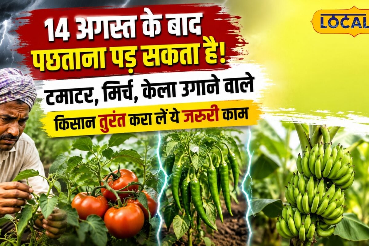 14 अगस्त के बाद पछताना पड़ेगा, किसान तुरंत करा लें ये जरूरी काम