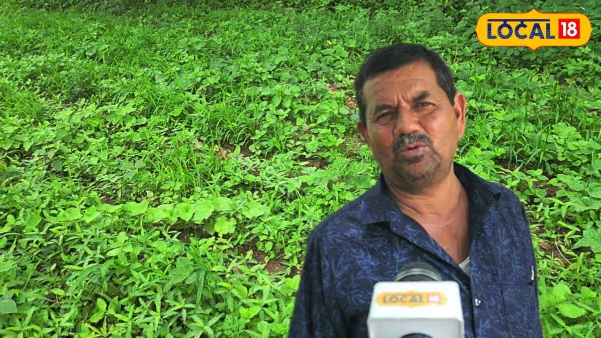 12वीं के बाद पिता से सीखी खेती की बारीकियां, 12 एकड़ में मिक्स खेती कर किसान कमा रहा 6-7 लाख रुपये सालाना 12वीं के बाद पिता से सीखी खेती की बारीकियां, 12 एकड़ में मिक्स खेती कर किसान कमा रहा 6-7 लाख रुपये सालाना