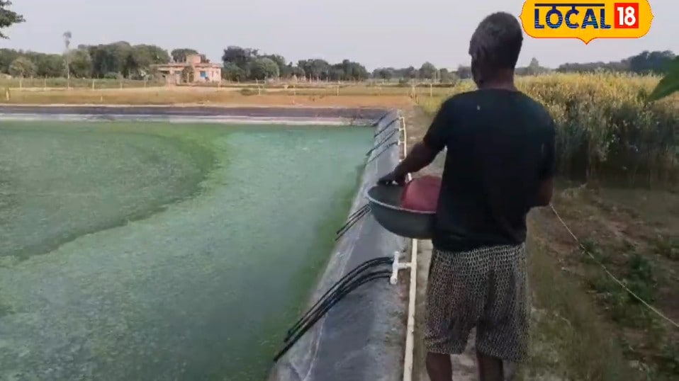 सुल्तानपुरः मत्स्य पालकों के लिए नई मछली बीमा योजना यूपी फिश फार्मर ऐप से होगा पंजीकरण बाढ़-बीमारी से नुकसान पर मिलेगी भरपाई