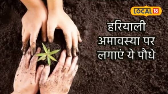 Hariyali Amavasya Upay: सावन माह की अमावस्या पर लगा दे ये शुभ पौधे सात जन्मों तक पितरों की बरसेंगी की कृपा