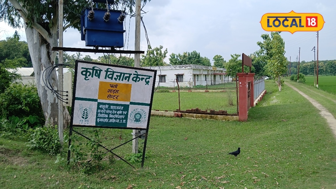 महराजगंज के बसूली फार्म में पुराने कृषि यंत्रों का है संग्रह बताता है बदलते खेती के विकास की कहानी कहानी