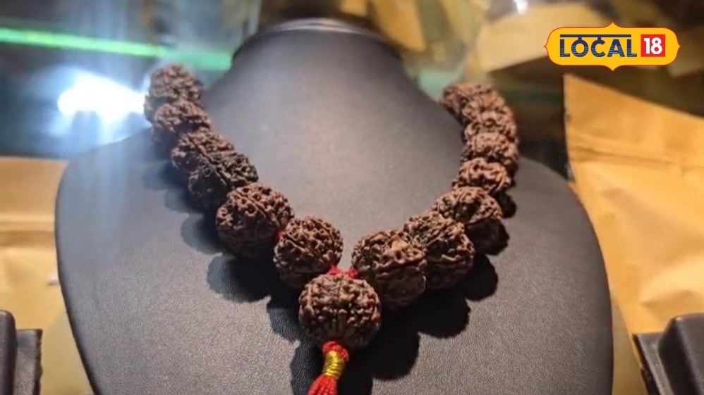 Rudraksha Benefits: आर्थिक तंगी से लेकर मानसिक शांति तक यहां जानिए कौन से रुद्राक्ष के क्या हैं फायदे