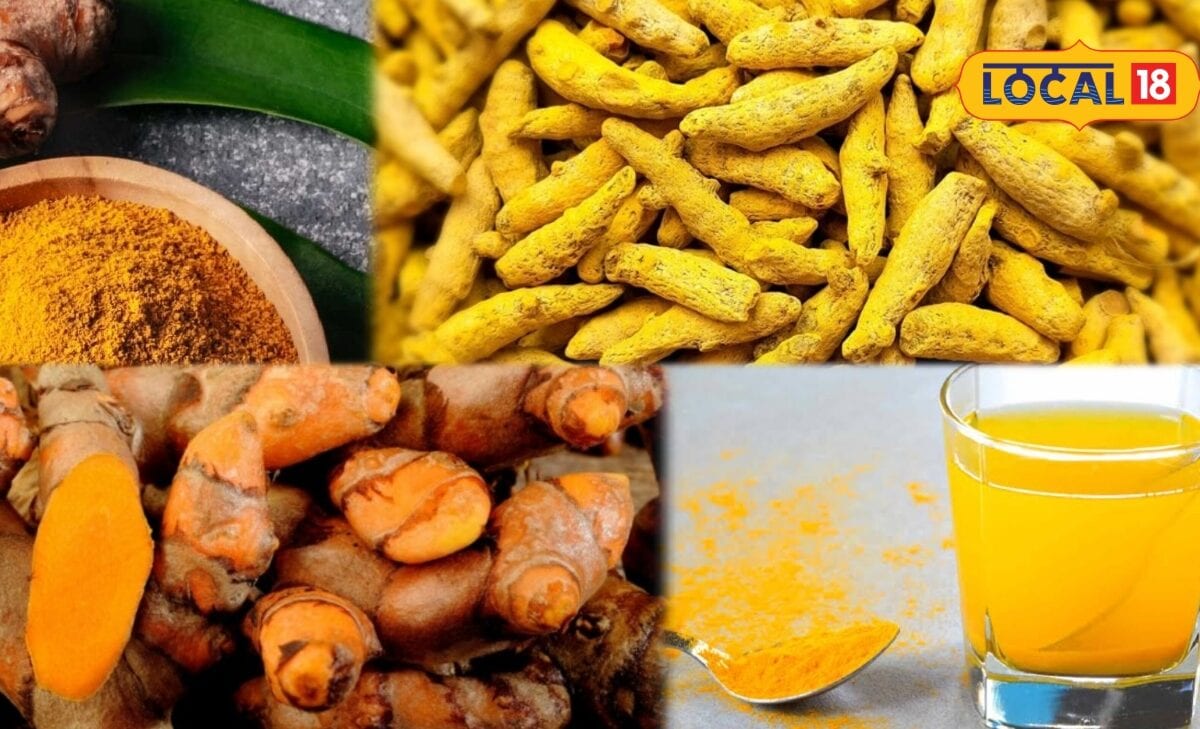 रसोई की हल्दी से तैयार होगा खेती का देसी टॉनिक सिर्फ 5 मिनट में बनाएं घोल और फसल की देखभाल में पाएं फायदा