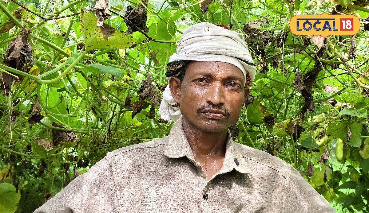 पढ़ाई में कमजोर खेती में माहिर गोंडा के किसान जोत नारायण ने लौकी की खेती से कमाए लाखों