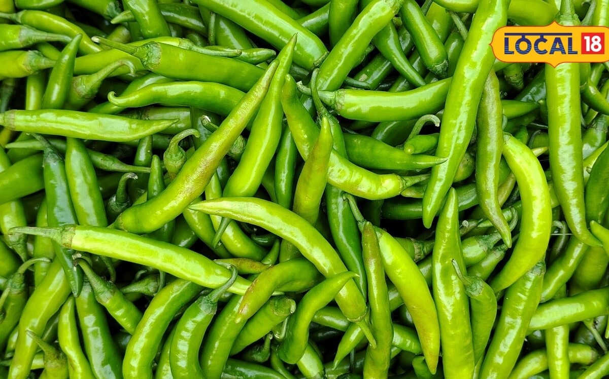 Haryanvi Mirch Kalonji Sabzi: बरसात में चटपटा खाने का मन हो तो बनाएं मिर्च-कलौंजी की सब्जी रोटी के साथ लगेगी लाजवाब