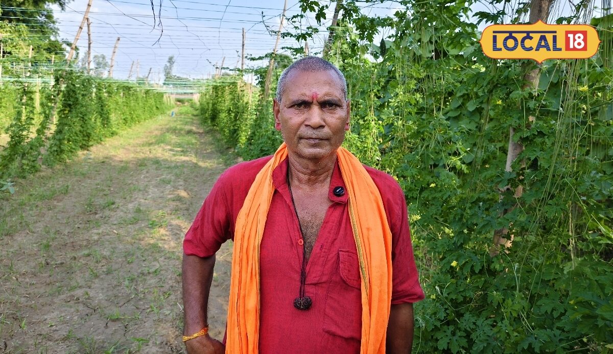 गोंडा के किसान का अनोखा प्रयोग करेले के साथ यूकेलिप्टस की बागवानी से की लाखों की कमाई जानें