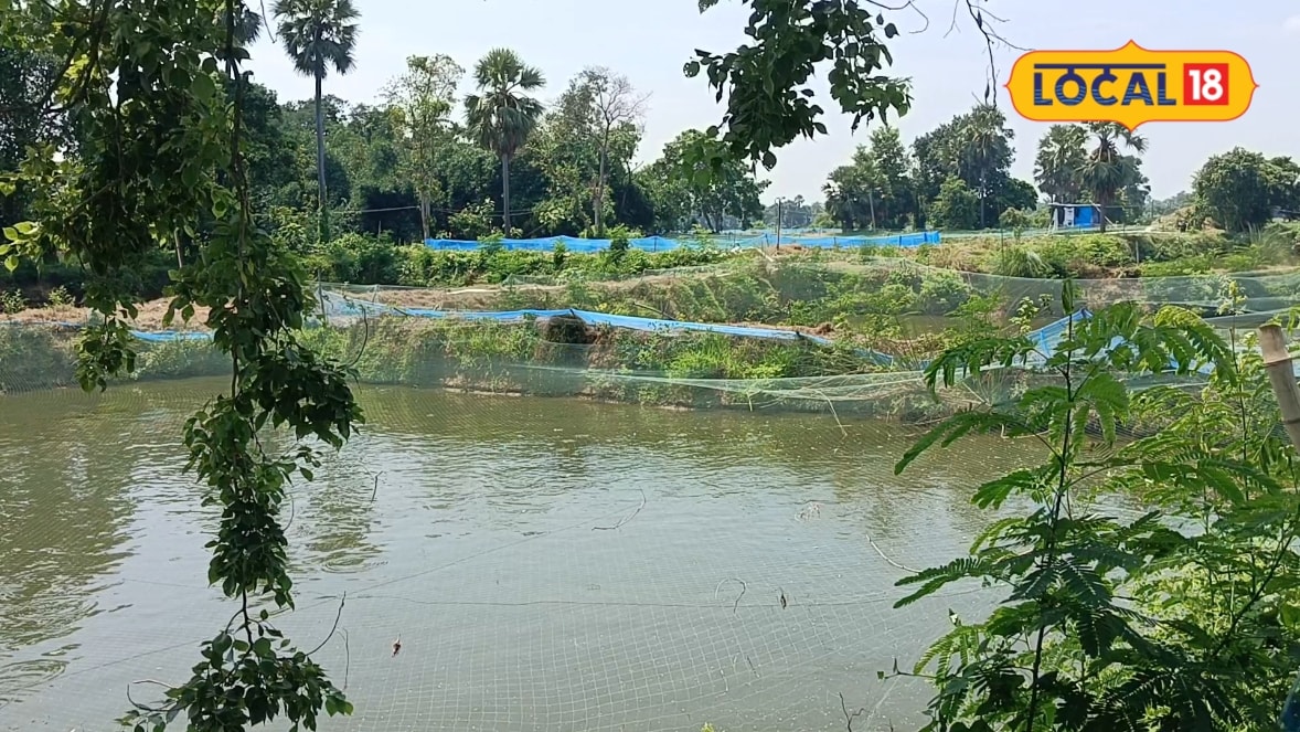 जहानाबाद का यह गांव है 'Fish Hub', 150 बीघे में तलाब, हर दिन 50 क्विंटल तक उत्पादन, 100 को दिया रोजगार