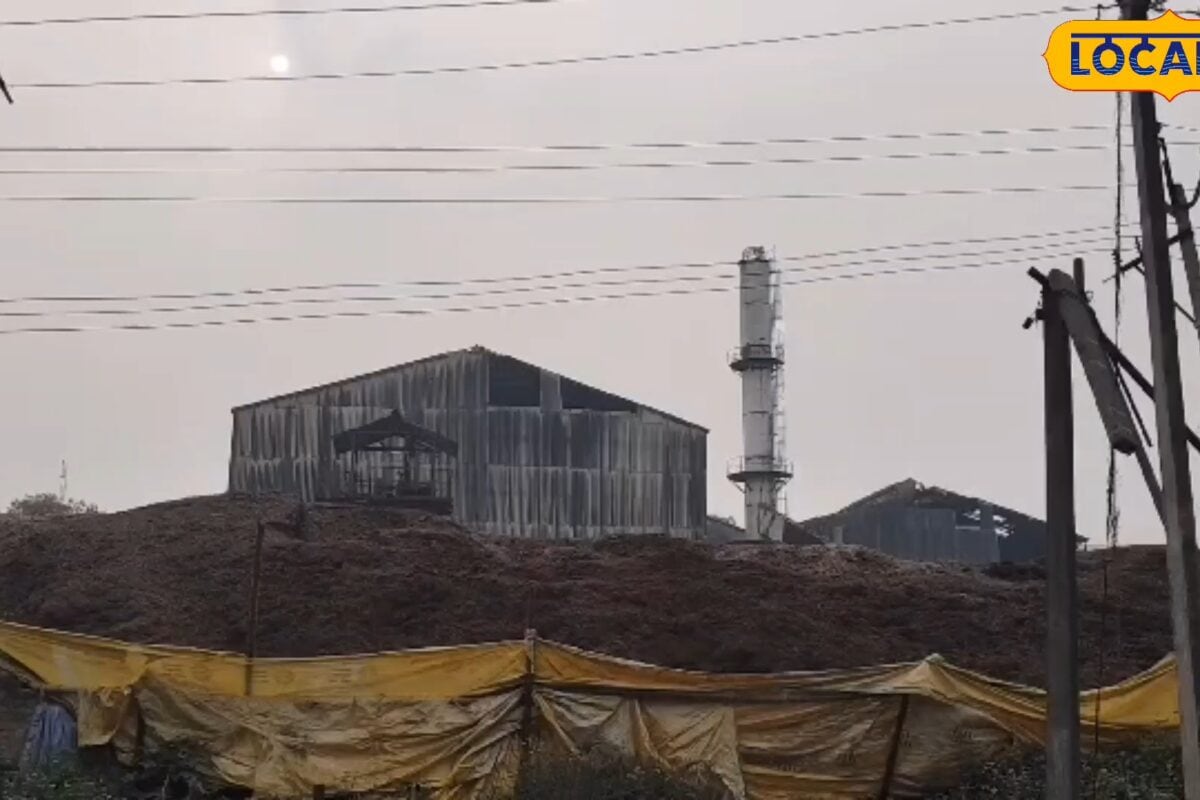 सुल्तानपुर चीनी मिल में मैकेनिक टर्नर इलेक्ट्रीशियन समेत कई पदों पर भर्ती इन दस्तावेज के साथ 14 को पहुंचे