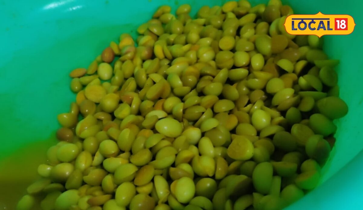 थाली में चाहिए खट्टा-चटपटा स्वाद तो घर पर करोंदे से बना लें ये देसी अचार