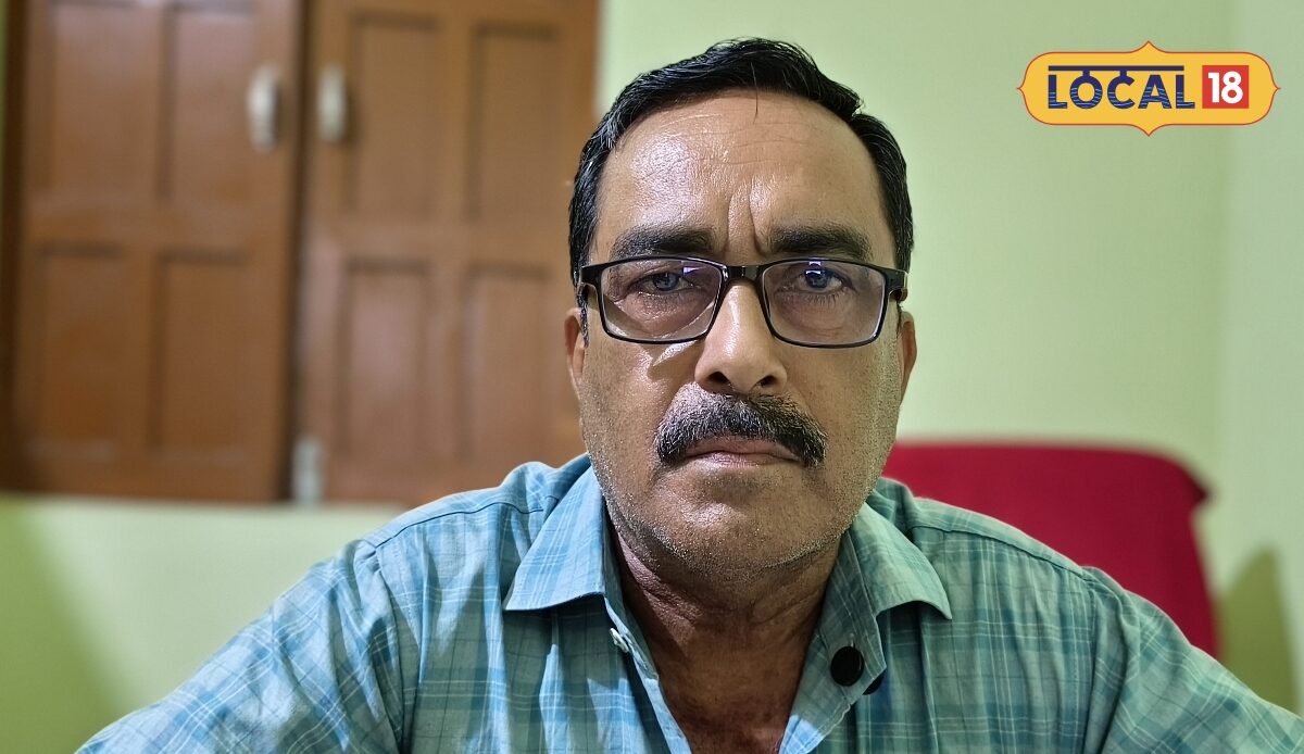 धान की पत्तियां पड़ने लगीं हैं पीली और कत्थई तो हो सकता है खैरा रोग जानें बचाव का तरीका