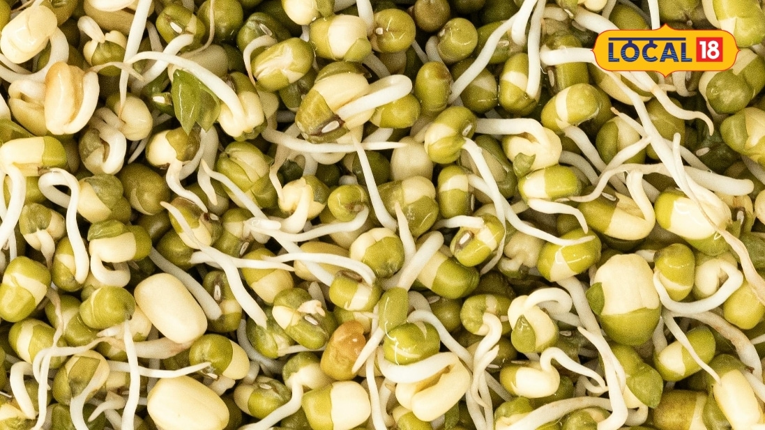 Healthy diet: जिम जाने वाले ही नहीं हर उम्र के लोगों खाना चाहिए स्प्राउट्स इम्यूनिटी होती है एक्टिव बीमारी होती है दूर एक्सपर्ट्स ने बताया राज