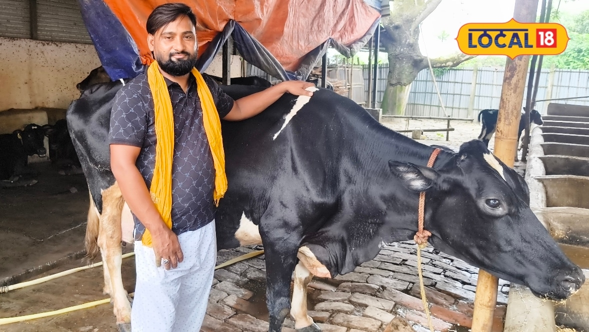 कोरोना में छूटी नौकरी तो शुरू की डेयरी फार्मिंग गौपालन से असरार कमा रहे 10 लाख बने रोल मॉडल