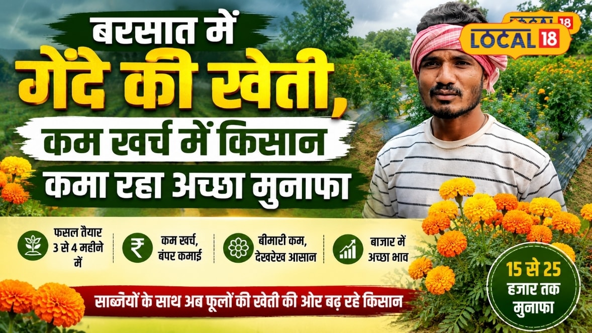 बस्तर में किसानों ने अपनाई गेंदे की खेती बारिश के मौसम में फूलों से बढ़ रही कमाई