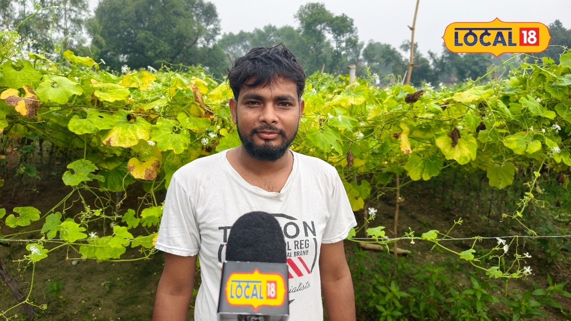 मऊ के युवा किसान आमीर अहमद 15 हजार की लागत में लाखों रुपए खेती से कमाएं अपनाई ये विधि जानें