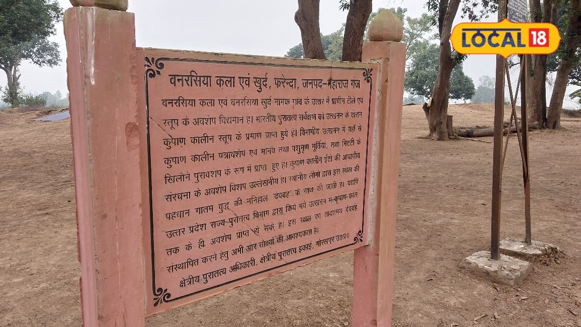 महराजगंज के बनरसिहा में उत्खनन से 2500 साल पुराने अवशेष मिले कुषाण सिक्के और चावल के दाने भी बुद्ध के ननिहाल से संबंध जानें