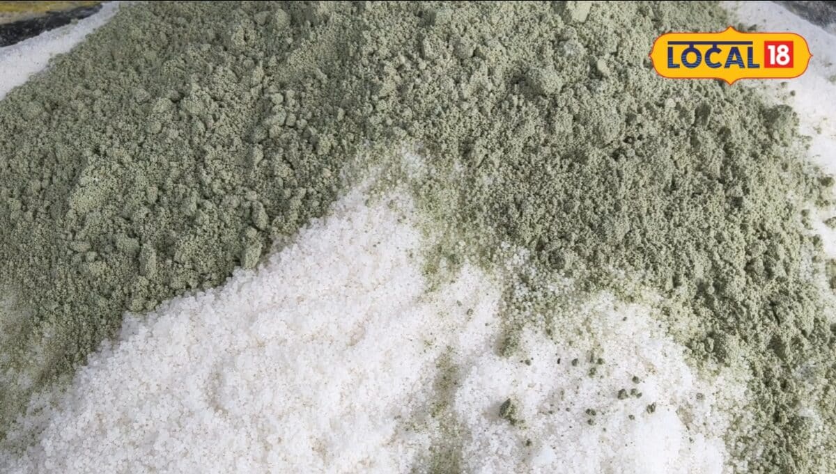 Paddy Farming : जल जाएंगे पौधे उड़ जाएगी खादधूप में यूरिया छिड़कना इतना खतरनाक जानिए कैसे
