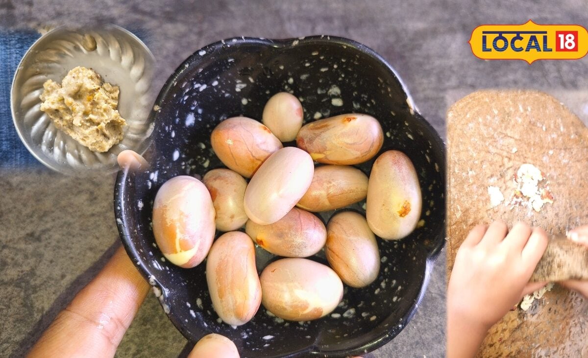 कटहल के बीजों को फेंकने की न करें भूल बनाएं स्वादिष्ट चटपटी चटनी स्वाद के साथ सेहत को मिलेंगे गजब के फायदे जानें रेसिपी