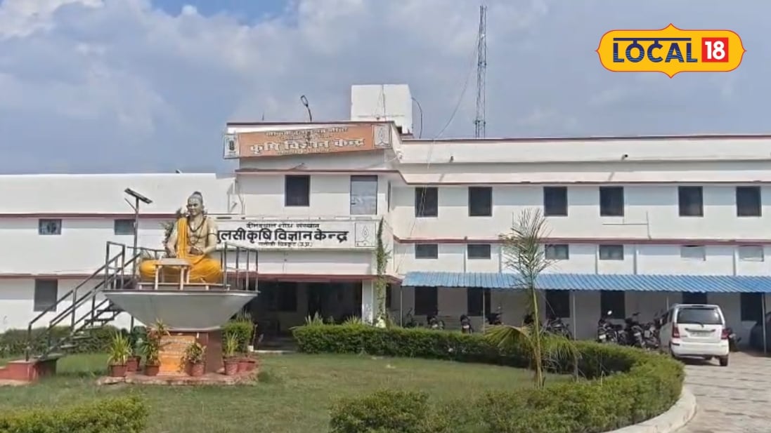 चित्रकूट में श्री अन्न की खेती को बढ़ावा देने के लिए 60 लाख में बन रहा प्रसंस्करण इकाई ये उत्पाद होंगे तैयार किसानों को लाभ