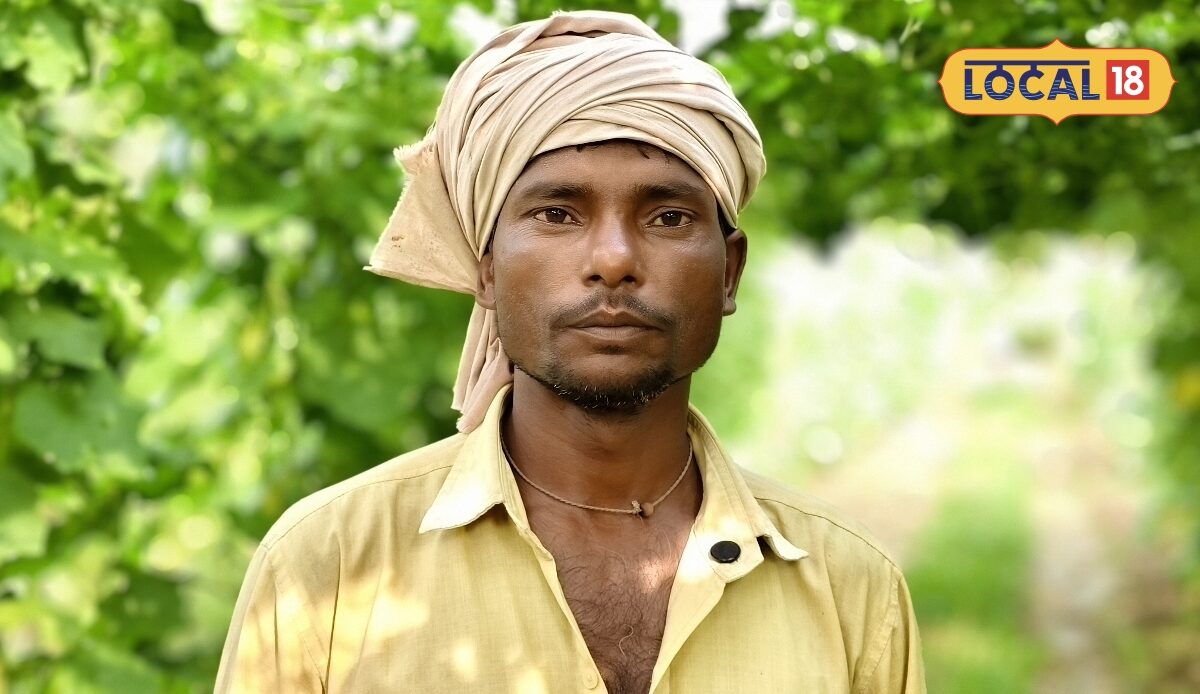 गोंडा के किसान शत्रुघ्न तोरई की खेती से परिवार का कर रहे पालन-पोषण 10 हजार की लागत से लाखों में कमाई