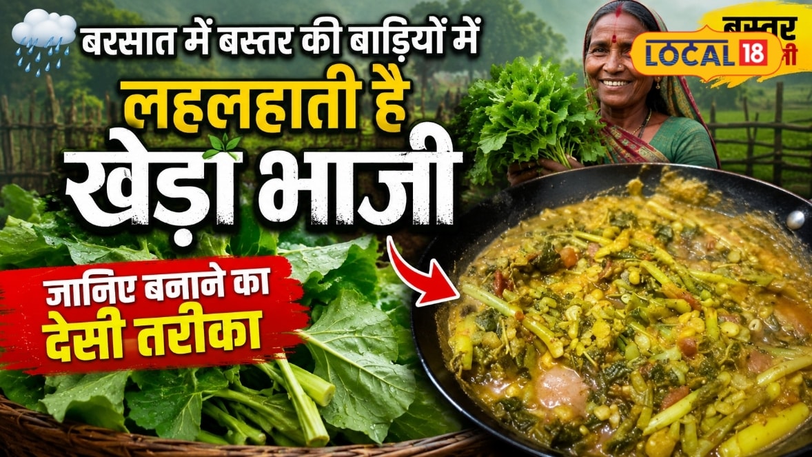 बस्तर की देसी खेड़ा भाजी का स्वाद है खास दाल के साथ बनती है लाजवाब सब्जी जानें आसान रेसिपी