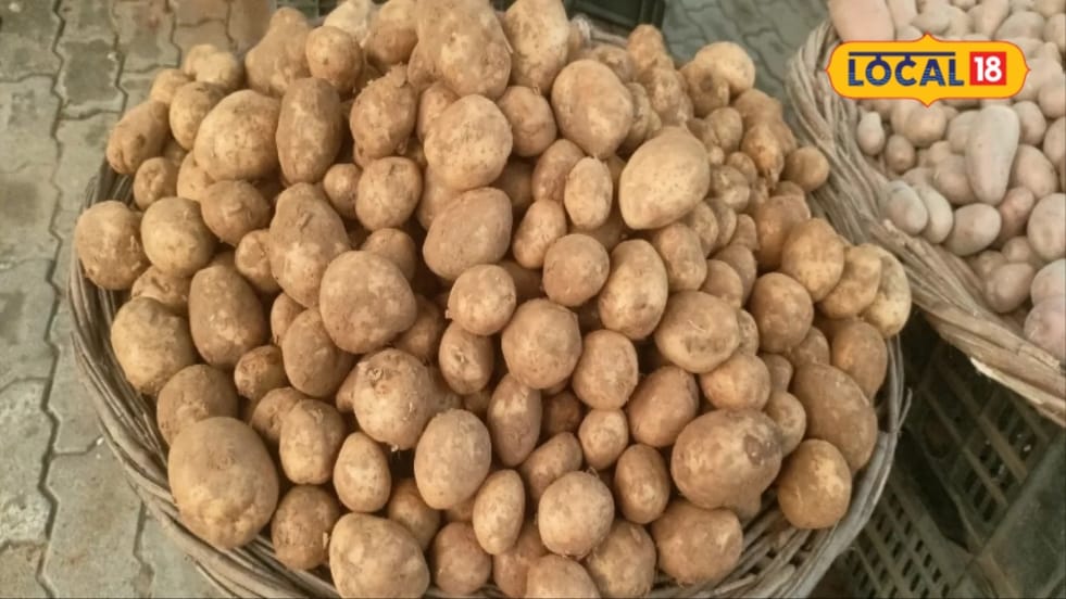 घर लाने के बाद मीठा निकलता है आलू तो खरीदते समय इन बातों का रखें ध्यान