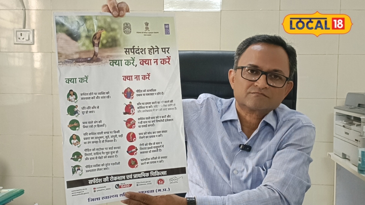 बारिश में सांप काटे तो क्या करें, क्या न करें? डॉक्टर की सलाह