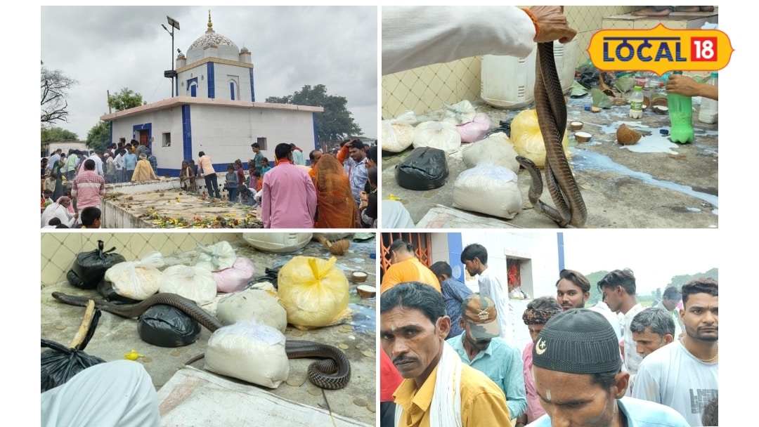 छतरपुर का अनोखा सर्प मंदिर! नागपंचमी पर उमड़ती है हजारों की भीड़ सर्पदंश से जुड़े हैं कई दावे जानें मान्यता