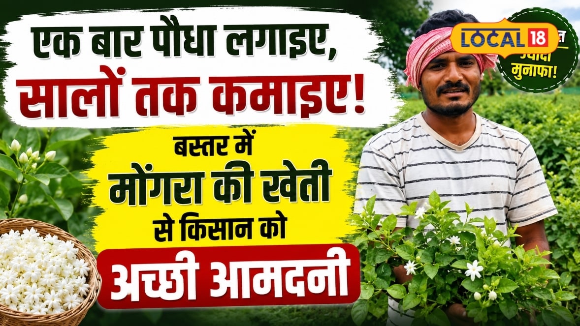 एक बार पौधा लगाइए सालों तक कमाइए! बस्तर में मोंगरा की खेती से किसान कमा रहे अच्छी आमदनी