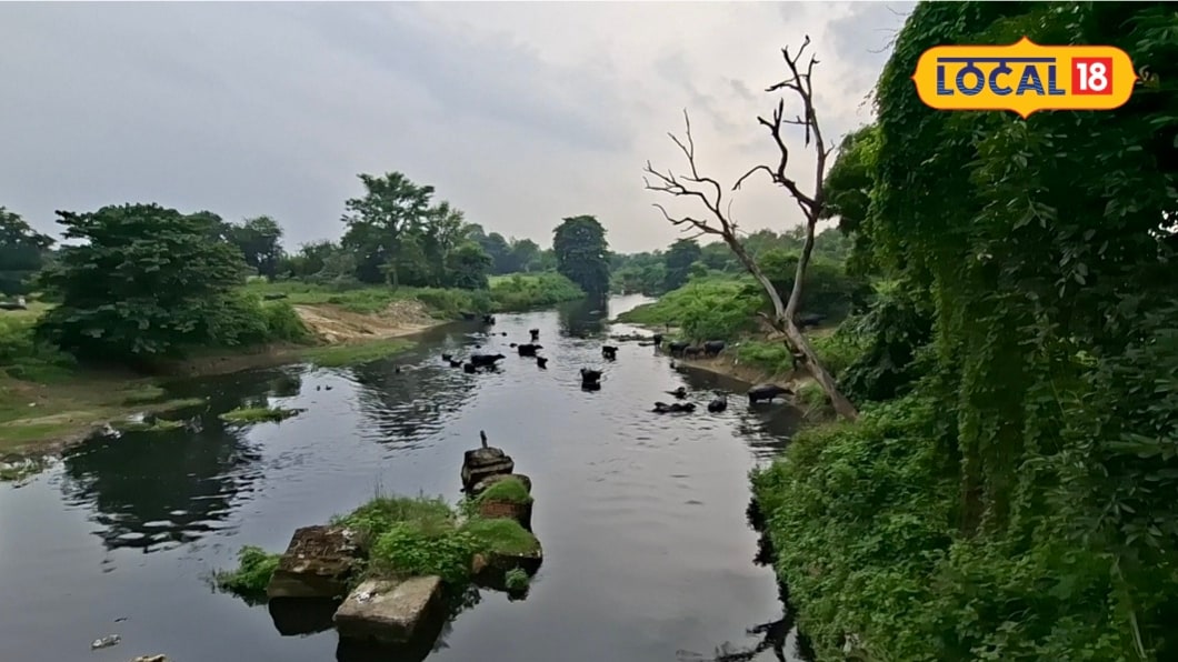 जिस नदी ने 1857 में देखी थी आजादी की जंग अब उसी नकटिया को बचाने की मुहिमजानिए क्या है पूरा प्लान